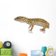 Young Leopard gecko - Eublepharis macularius Wall Decal