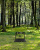 Computer Af Forrest Wall Decal