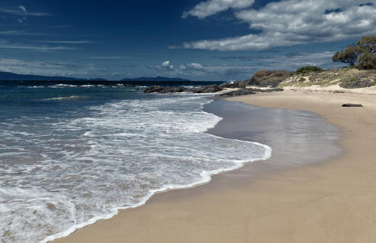 Beach Wall Mural