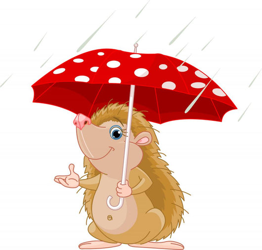 Hedgehog under Umbrella Presenting