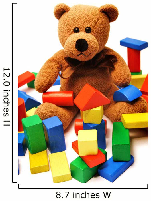 Teddy and Blocks