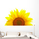 Sunflower isolated on white background Wall Decal