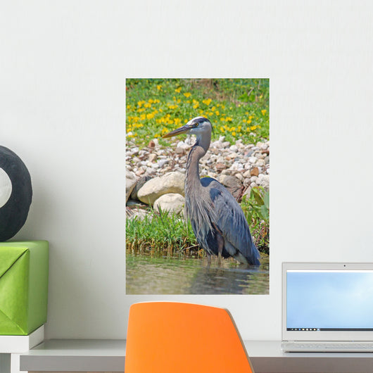 Great Blue Heron Wall Mural