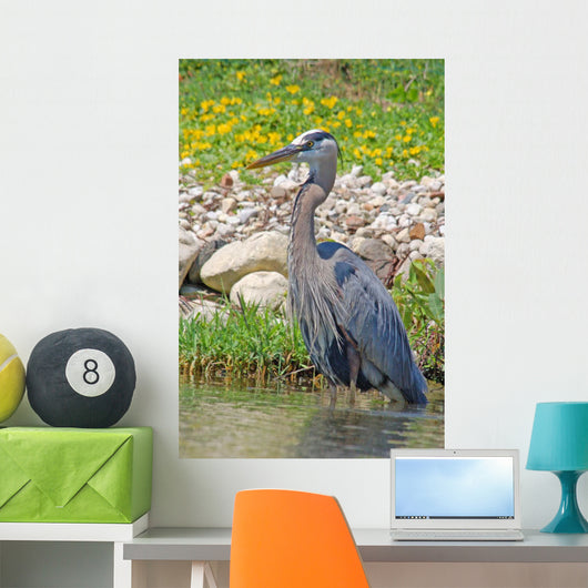 Great Blue Heron Wall Mural