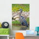 Great Blue Heron Wall Mural