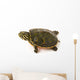 Baby Turtle against White Wall Decal