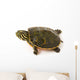 Baby Turtle against White Wall Decal