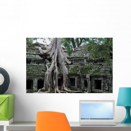 Jungle Temple Ta Prohm Wall Mural