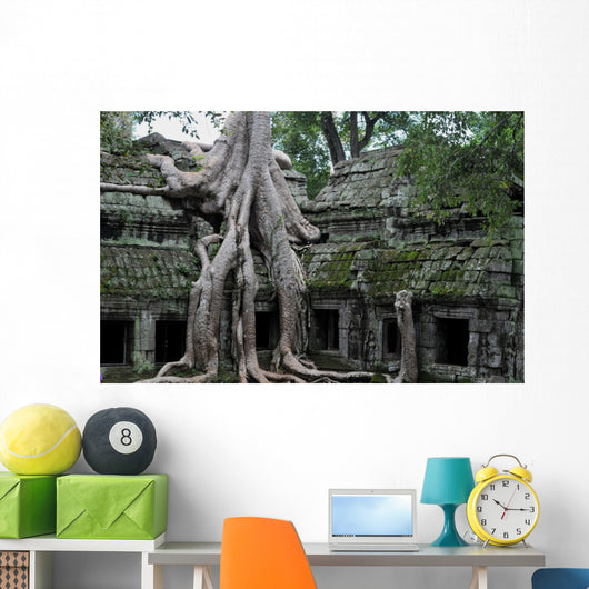 Jungle Temple Ta Prohm Wall Mural