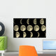 Moon Phases Wall Mural
