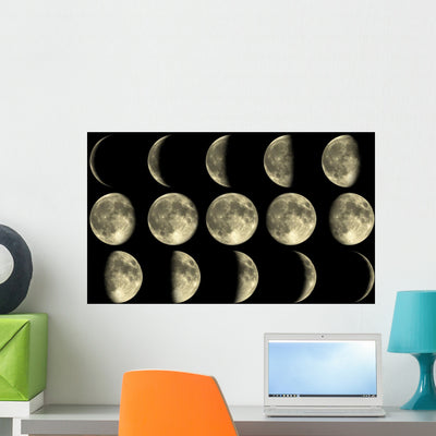 Moon Phases Wall Mural shown on a wall