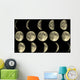 Moon Phases Wall Mural