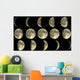 Moon Phases Wall Mural