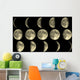 Moon Phases Wall Mural