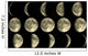 Moon Phases Wall Mural