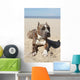 American Pitbull on Beach Wall Mural