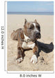 American Pitbull on Beach Wall Mural