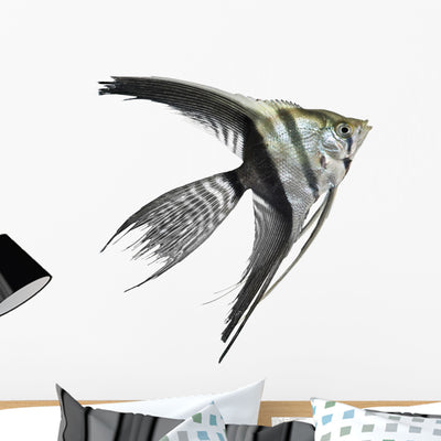 Angel Fish shown on a wall