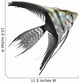 Angel Fish