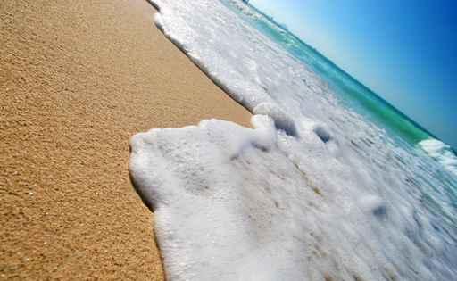 Tropical Beach Wall Decal Design 5