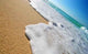 Tropical Beach Wall Decal Design 5