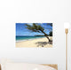 Maui Beach Framed Tree
