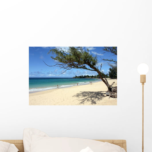 Maui Beach Framed Tree