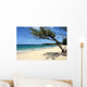 Maui Beach Framed Tree