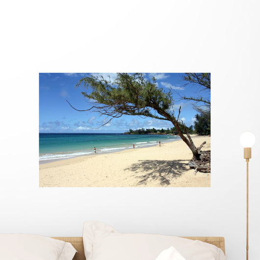 Maui Beach Framed Tree