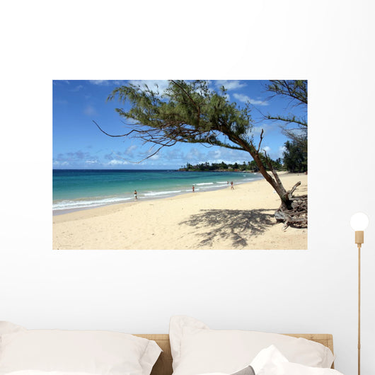 Maui Beach Framed Tree