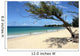 Maui Beach Framed Tree
