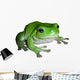 Green Tree Frog Wall Decal