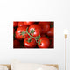 Tomato Clusters Wall Mural
