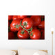 Tomato Clusters Wall Mural