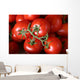 Tomato Clusters Wall Mural