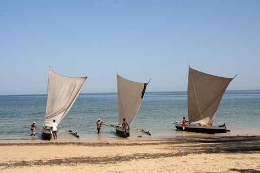 Pirogues Balancier Wall Decal