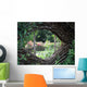Eye Braid Wall Decal