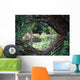 Eye Braid Wall Decal