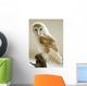 Barn Owl Wall Mural