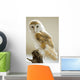 Barn Owl Wall Mural