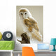 Barn Owl Wall Mural