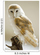 Barn Owl Wall Mural
