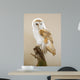 Barn Owl