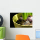Hyacinth bulbs Wall Mural