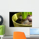 Hyacinth bulbs Wall Mural