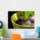 Hyacinth bulbs Wall Mural