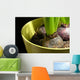 Hyacinth bulbs Wall Mural