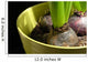 Hyacinth bulbs Wall Mural