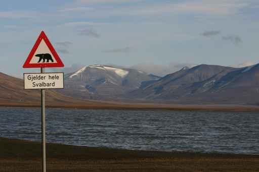 Warning against Polar Bears Wall Decal