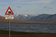 Warning against Polar Bears Wall Decal